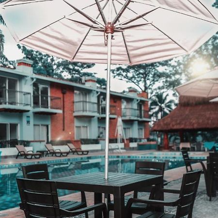 Hotel Y Restaurante Meson Del Gitano Caucasia Exteriér fotografie